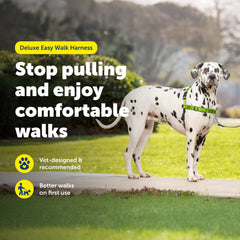 PetSafe bandes réfléchissantes améliorant visibilité et sécurité nocturne
