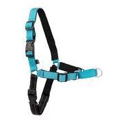 PetSafe harnais face avant montrant coupe et couleur Ocean pour confort