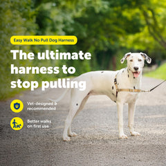 PetSafe gros plan boucle martingale pour réduction douce du tirage