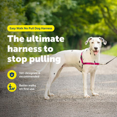 PetSafe gros plan sur la boucle martingale montrant redirection douce