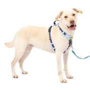 PetSafe vue avant du harnais montrant l'ajustement et l'esthétique confortable