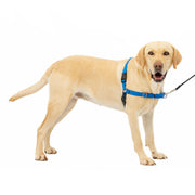 PetSafe Easy Walk Harness vue frontale montrant la boucle martingale pour meilleure direction