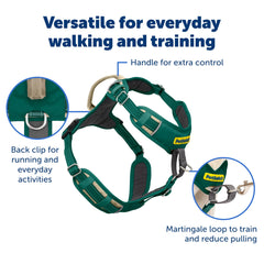 PetSafe boucle frontale en gros plan montrant efficacité anti-traction