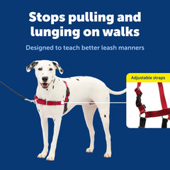 PetSafe détail sangles et boucles pour ajustement sécurisé