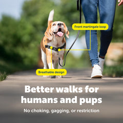 PetSafe détail sangles et boucles illustrant réglages faciles et maintien sûr