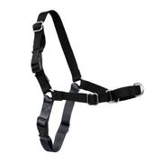 PetSafe Easy Walk vue avant montrant fixation frontale et confort