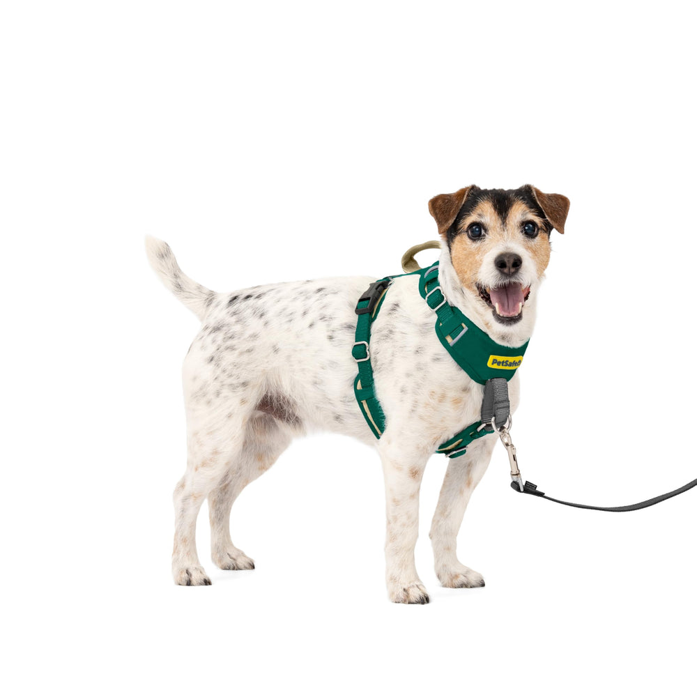 PetSafe harnais devant vert montrant maintien confortable et réduction du tirage