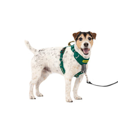 PetSafe harnais devant vert montrant maintien confortable et réduction du tirage