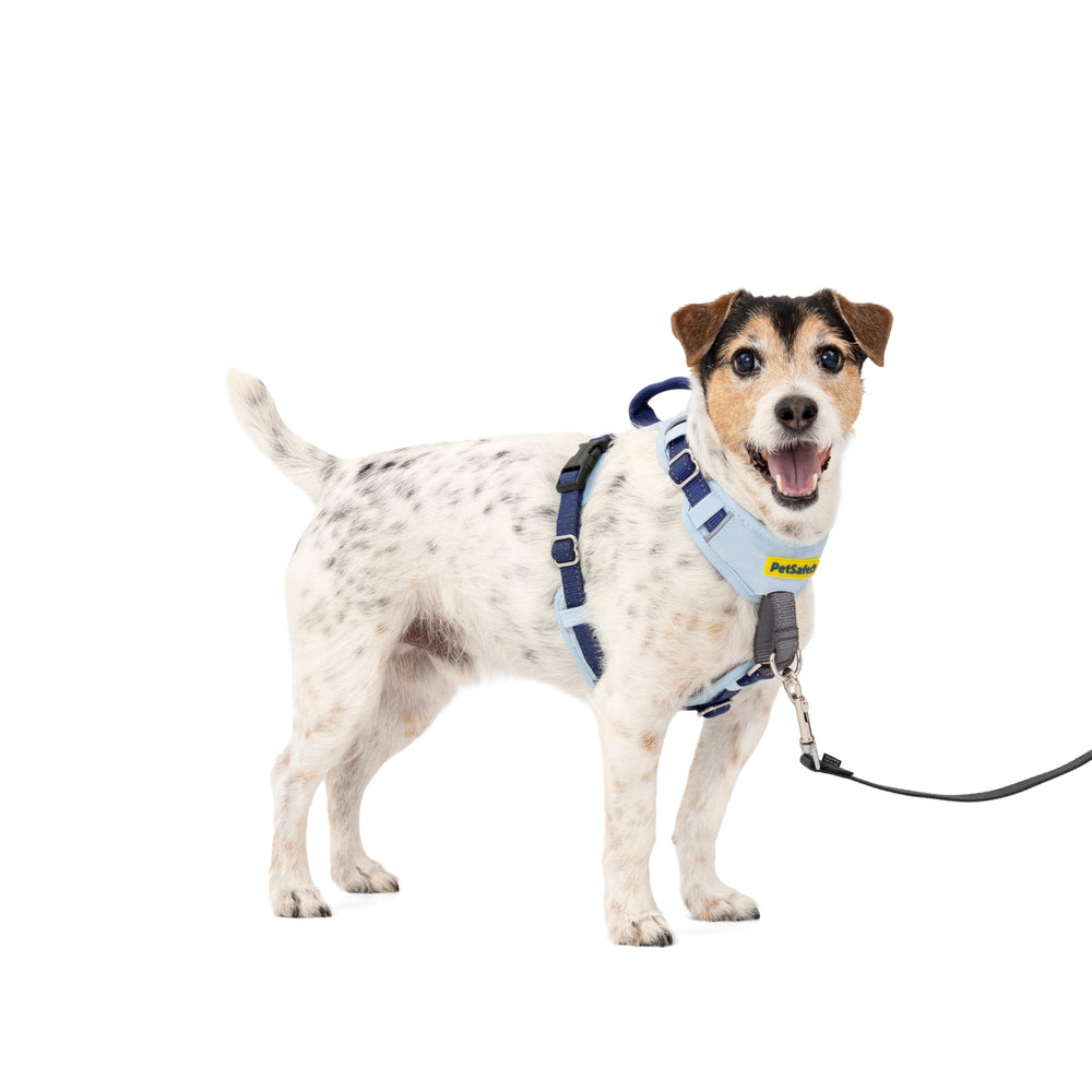 PetSafe harnais vue avant montrant coupe ajustée et confort