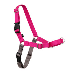 PetSafe harnais face avant montrant coupe et confort pour promenades calmes