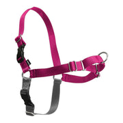 PetSafe harnais face avant montrant coupe et confort pour promenades