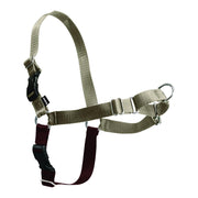 PetSafe harnais Easy Walk face avant pour contrôle apaisé
