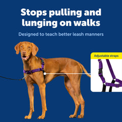 PetSafe texture du matériau léger et respirant pour confort prolongé