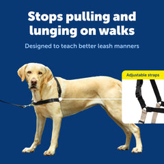 PetSafe sangles réglables et boucles faciles pour ajustement confortable