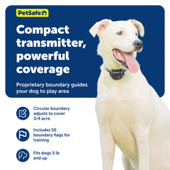 Fanions PetSafe marquant la limite pour un entraînement visuel efficace