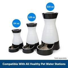 PetSafe filtre inséré dans une fontaine Healthy Pet, encourage la consommation