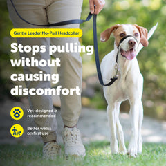 PetSafe gros plan du nez en néoprène assurant confort contre les frottements