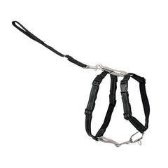 PetSafe harnais face avant montrant les trois points d'attache pour polyvalence