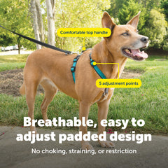 PetSafe attache frontale démontrant l'effet anti-tirage efficace