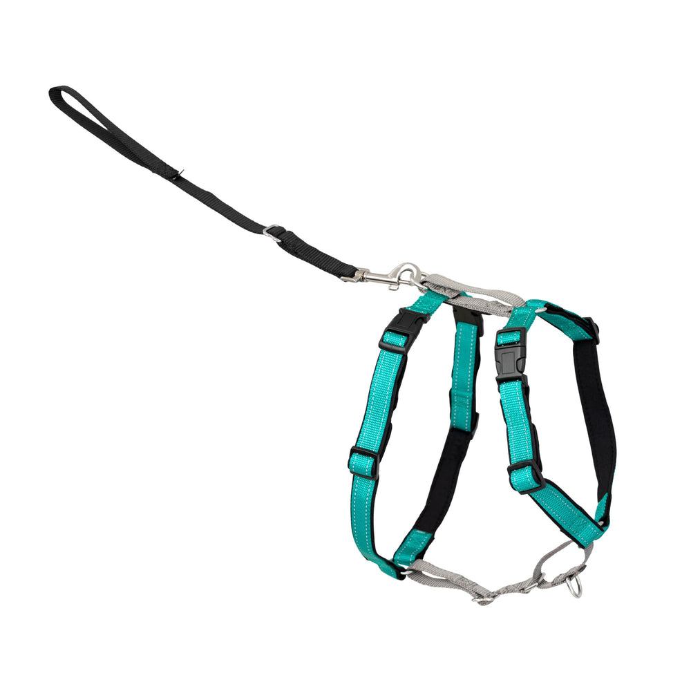 PetSafe face avant du harnais montrant design et couleur teal pour polyvalence