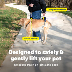 PetSafe harnais en usage pour monter dans une voiture sans effort