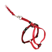 PetSafe harnais chat vue face montrant maintien sûr et confort