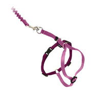 PetSafe harnais face avant Dusty Rose montrant maintien confortable