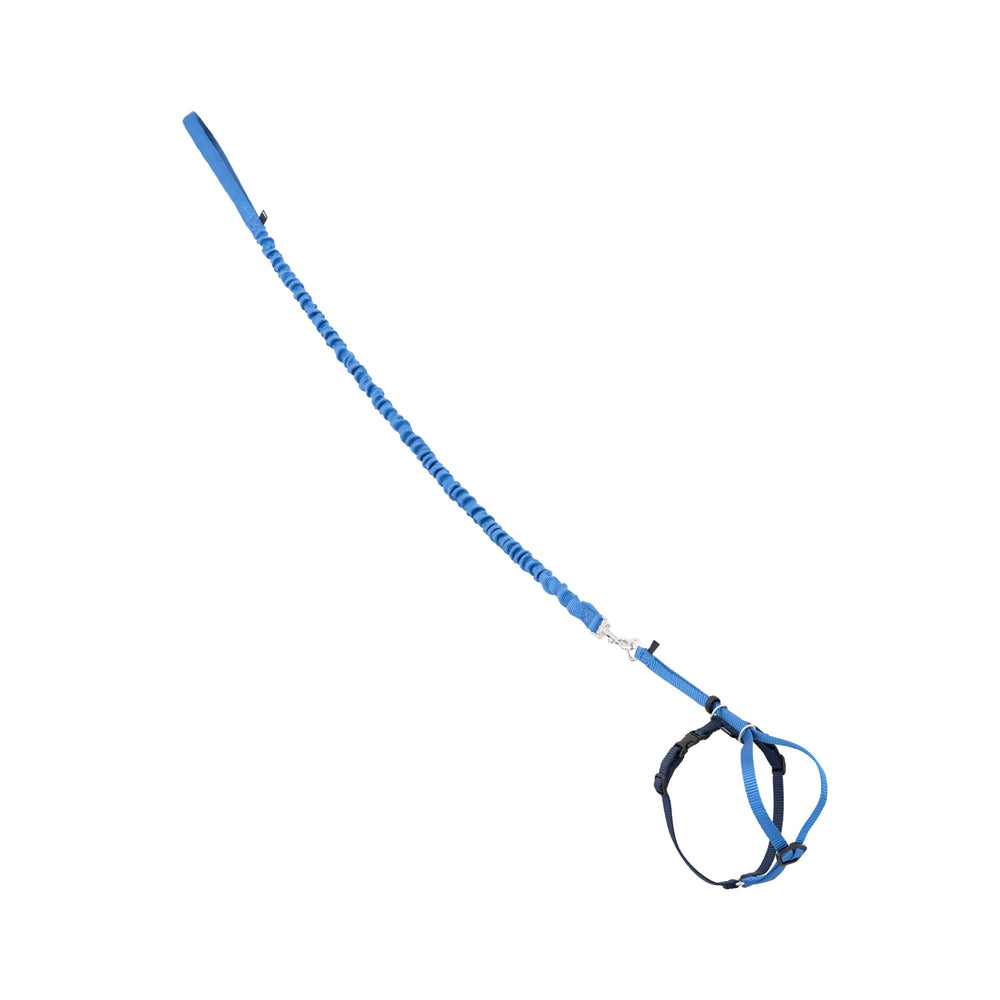 PetSafe harnais face avant montrant maintien confortable