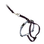PetSafe harnais face avant montrant maintien sûr et design ergonomique