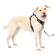 PetSafe harnais face avant montrant coupe et confort