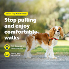 PetSafe harnais attache frontale visible pour réduire le tirage