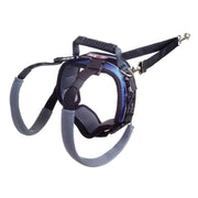 PetSafe harnais face montrant coupe et maintien pour confort