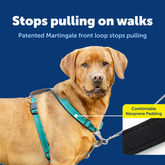 PetSafe zoom sur le rembourrage pour confort et anti-frottement