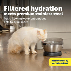 Gros plan acier inoxydable PetSafe montrant surface facile à nettoyer