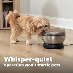 Cartouche Ion-X PetSafe montrant filtration pour un meilleur goût