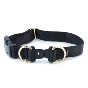 PetSafe collier en vue avant, protection quotidienne visible
