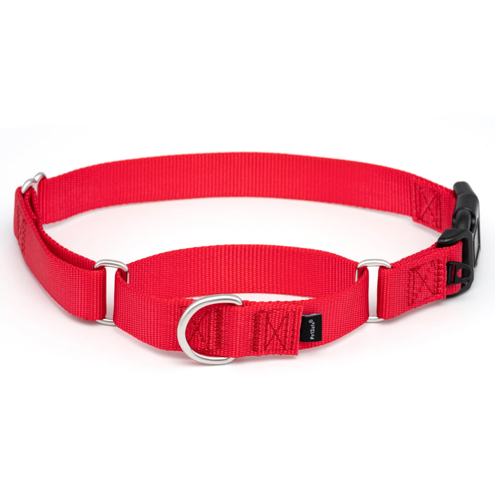 PetSafe collier martingale vue avant offrant contrôle sécurisé