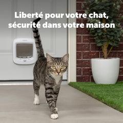 PetSafe gros plan du verrou 4 positions garantissant contrôle d'accès