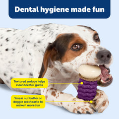 PetSafe détail anneau d’extrémité tenant une friandise, encourage mastication