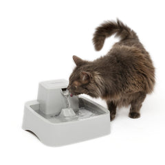 PetSafe Oasys face avant montrant bol large et accès facile pour boire