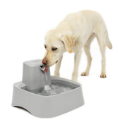 PetSafe Oasys vue avant montrant la capacité et l'accès facilité à l'eau