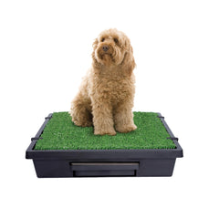 PetSafe vue avant du Pet Loo medium montrant le design compact et pratique
