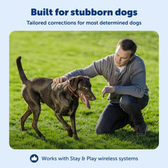 PetSafe récepteur fixé à une lanière interchangeable pour ajustement