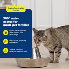 PetSafe détail de la pompe montrant circulation silencieuse bénéfique