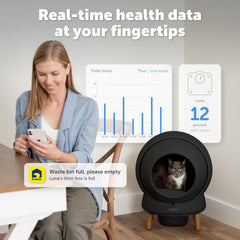 PetSafe SmartSpin chat entrant confortablement démontrant sécurité et accessibilité