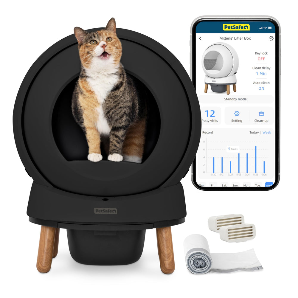 PetSafe SmartSpin face avant noire montrant design compact et gain de temps