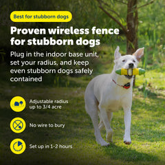 PetSafe collier récepteur profil, étanche et confortable pour longues sorties