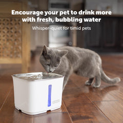 PetSafe Viva Pet détail du plateau acier inoxydable pour hygiène et durabilité