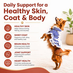 Petscy pompe doseuse anti‑goutte pratique pour un dosage propre