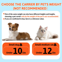 Petskd détail armature acier et tiges fibre pour stabilité durable